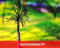 Godawari Power And Ispat limited