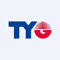 Tong Yang Industry Co Ltd