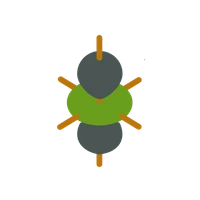 Almonty Industries Inc. Common Shares